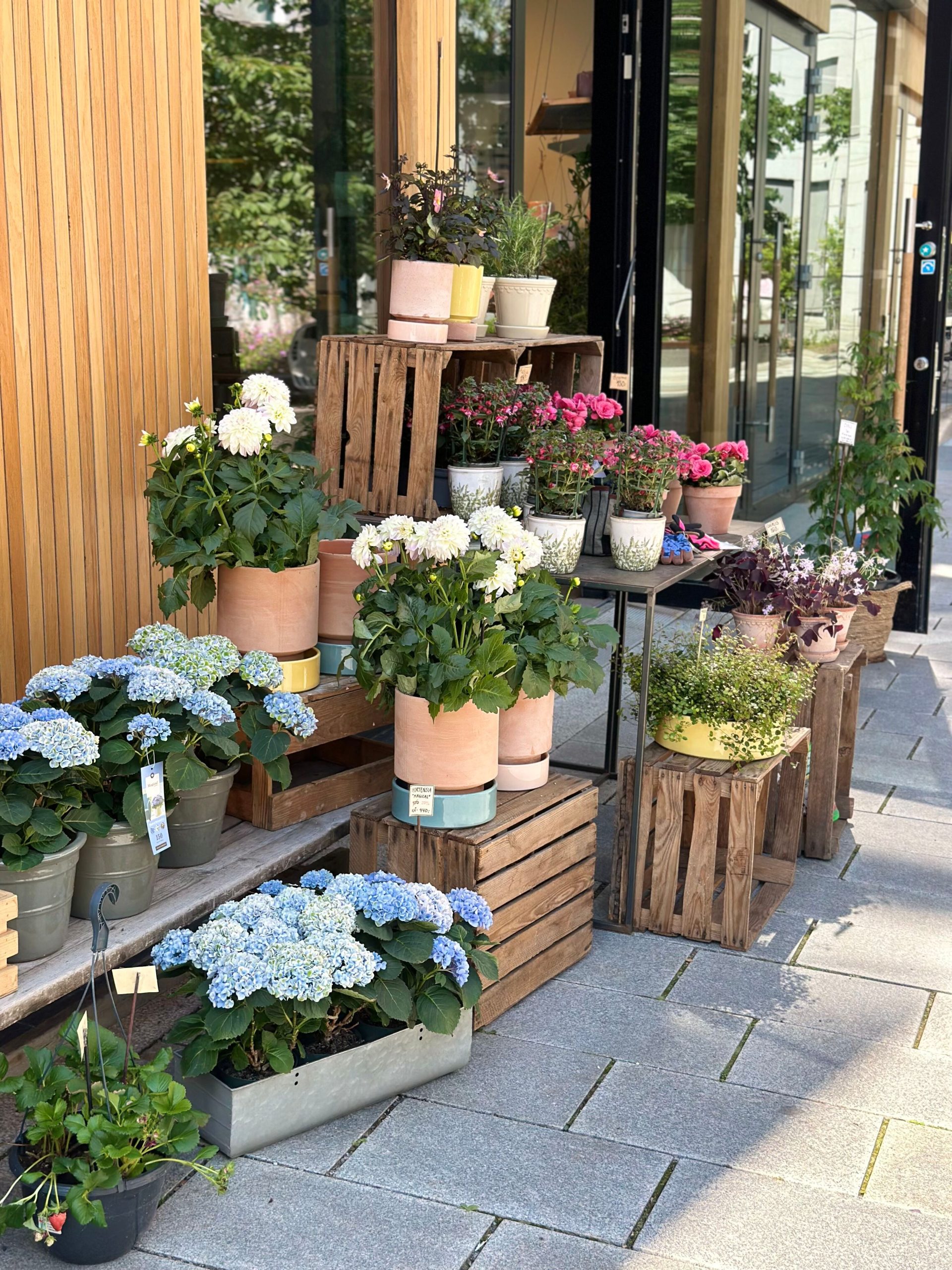 pningstider-i-sommer-harbitz-torg